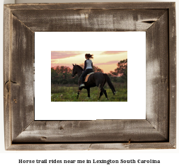 horse trail rides near me in Lexington, South Carolina